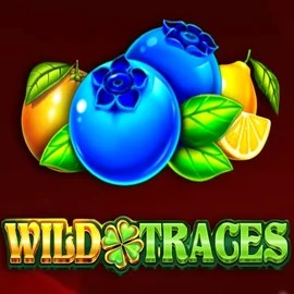 Play the Wild Traces slot by Amusnet Interactive on Wonaco Casino